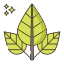 Leaves icon