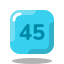 (45) icon