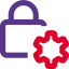 Internal settings for the high security lock icon