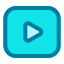 Play Button icon