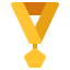 Award icon