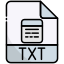 TXT icon