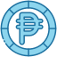 Peso icon