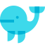 Whale icon