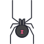 черная вдова-паук icon