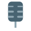 Microphone icon