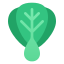 Bok Choy icon