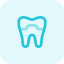 Dental crown with capping of a tooth or isolated on a white background icon