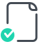 Verifica File icon