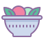 Salade icon