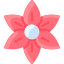 Amaryllis icon