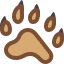 熊足迹 icon