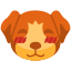 Shy Puppy icon