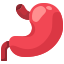 Stomach icon