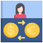 Exchange Rate icon