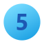 5 en círculo icon