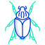 Beetle icon