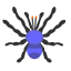 Aranha icon