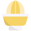 Juicer icon