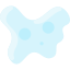 Amoeba icon