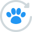 Pet Insurance icon