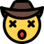 Dizzy Cowboy icon