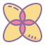 fiori-geometrici icon