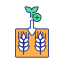 Interplanting Method icon