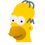 Homer Simpson icon