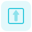 Up arrow direction for the forward place in the lane icon