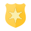 公共安全 icon