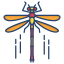 Dragonfly icon