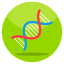 DNA icon