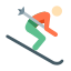 スキースキン タイプ 1 icon