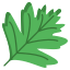 Hawthorn Leaf icon