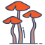 Brown Cap Boletus icon