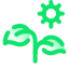 阳光下的植物 icon