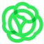 Cabbage icon