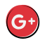 Google Plus icon