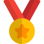 Star medal awarded for the performance in army icon