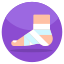 Ankle Fracture icon