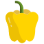 Capsicum icon