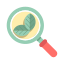 Organic Search icon