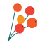 Berries icon