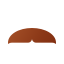 Chevron Bigode icon