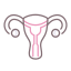 Uterus icon