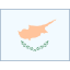 Zypern-Flagge icon