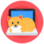 Laptop icon