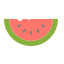 Fruit icon