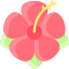 fiori-di-ibisco-esterno-vitaliy-gorbachev-piatto-vitaly-gorbachev-1 icon